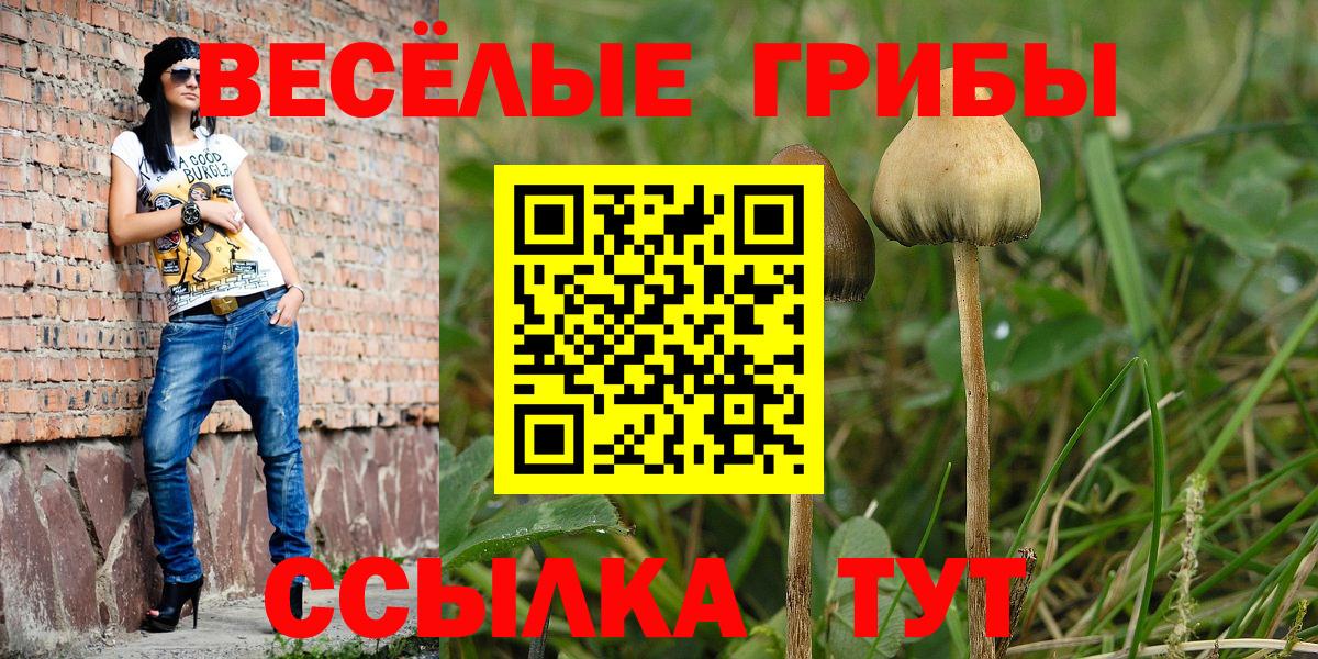 APVP Советский