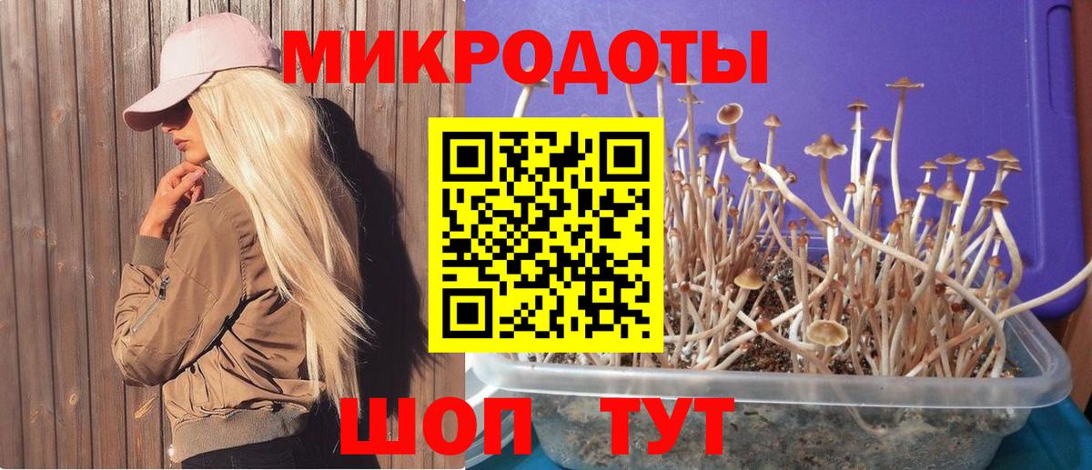 как найти наркотики  Советский  Галлюциногенные грибы Magic Shrooms 