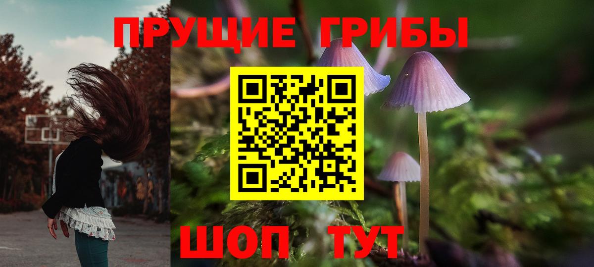 Галлюциногенные грибы Psilocybine cubensis Советский